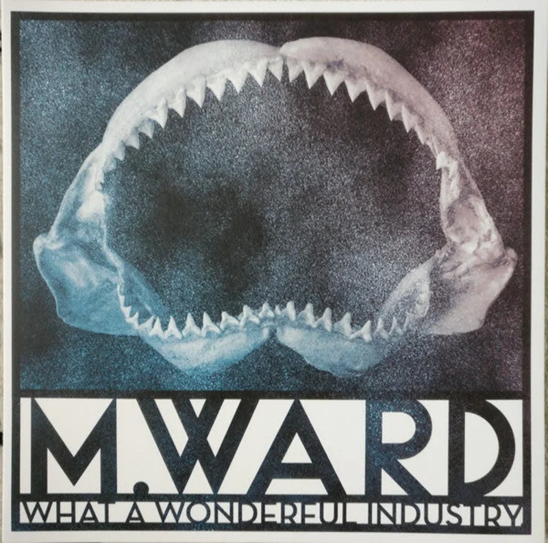 M. Ward: What A Wonderful Industry 12"
