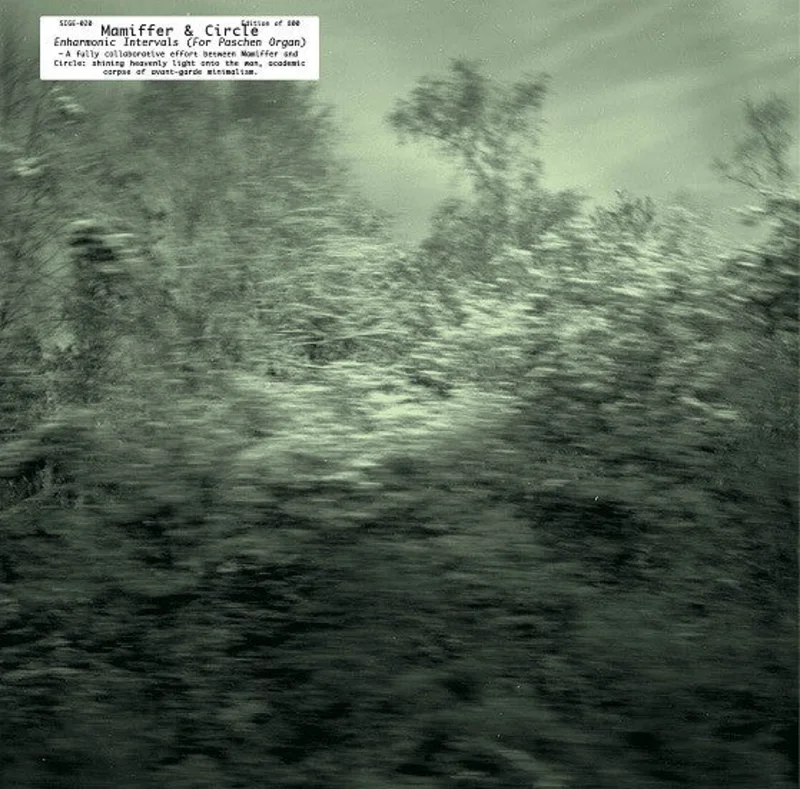 Mamiffer & Circle: Enharmonic Intervals (For Paschen Organ) 12"