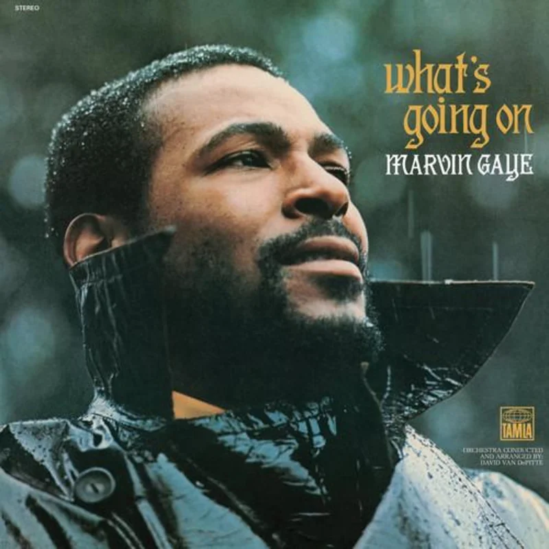 Marvin Gaye: What's Going On 12"