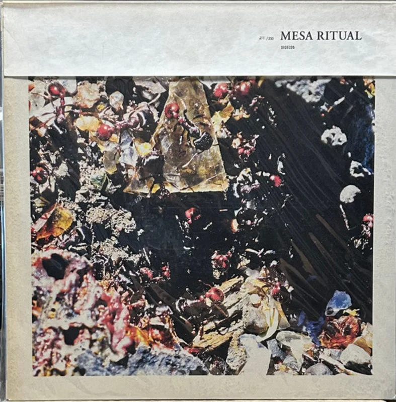 Mesa Ritual: S/T 12"