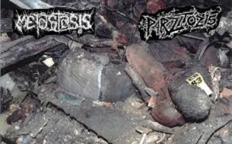 Metastasis / Parazitzis: Split cassette
