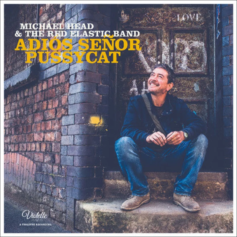 Michael Head and The Red Elastic Band: Adios Seor Pussycat 12"