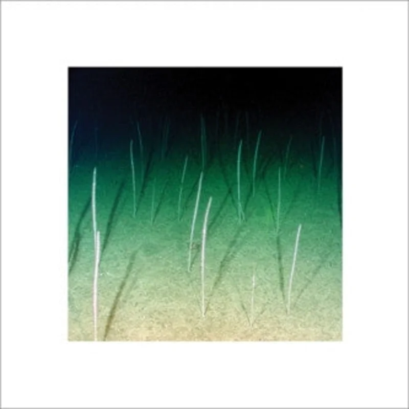 Mike Weis: Loop Current / Raft 12"