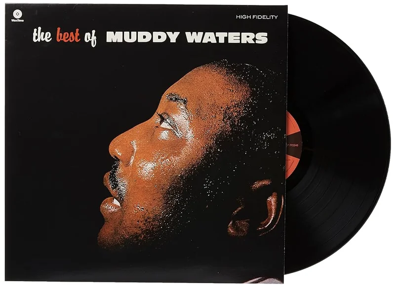 Muddy Waters: Best Of 12"