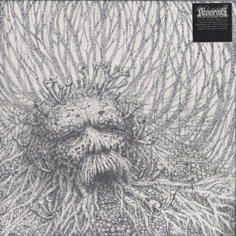 Nemorous: S/T 12"