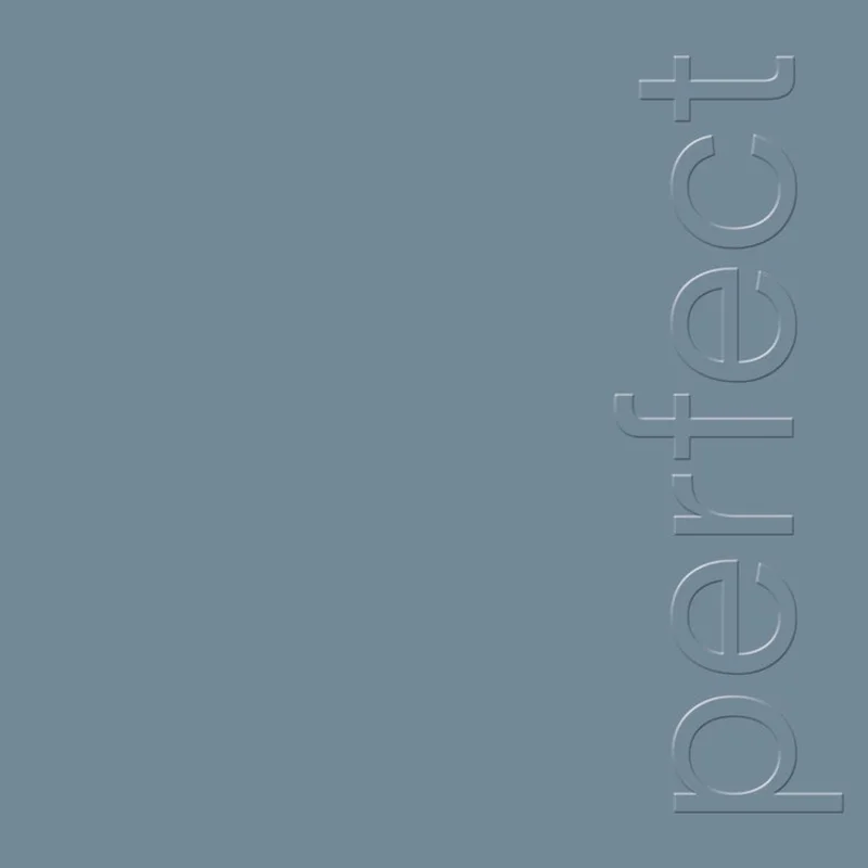 NEW ORDER 'THE PERFECT KISS' 2022 REMASTER 12" SINGLE