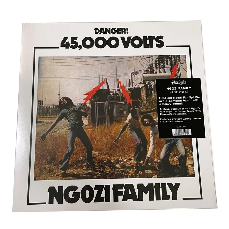 Ngozi Family: 45,000 Volts 12"