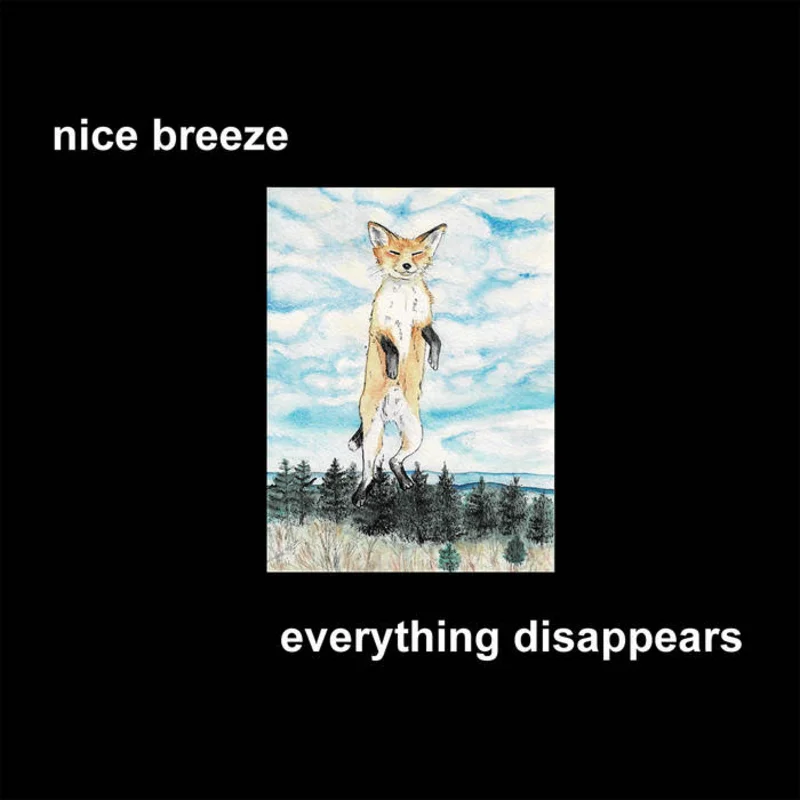 Nice Breeze: Everything Disappears 12"