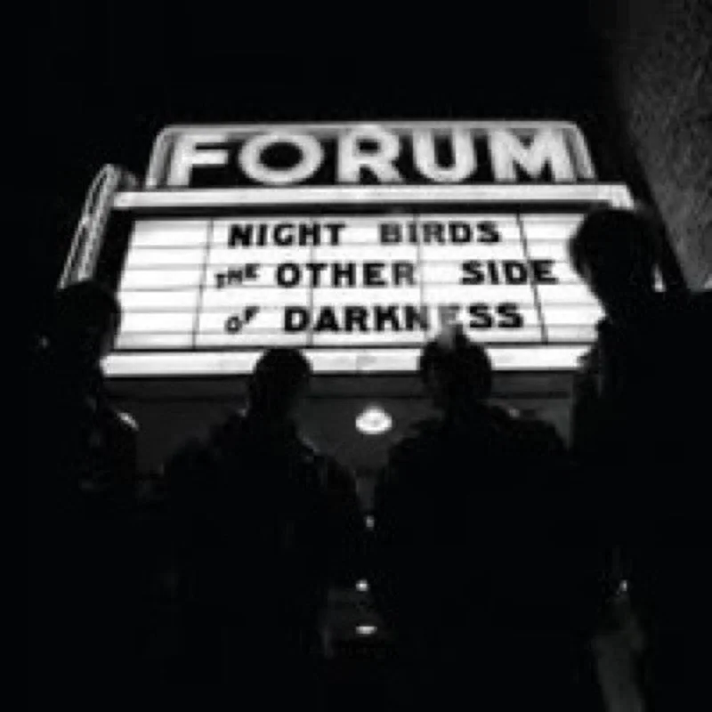 Night Birds: The Other Side of Darkness 12"