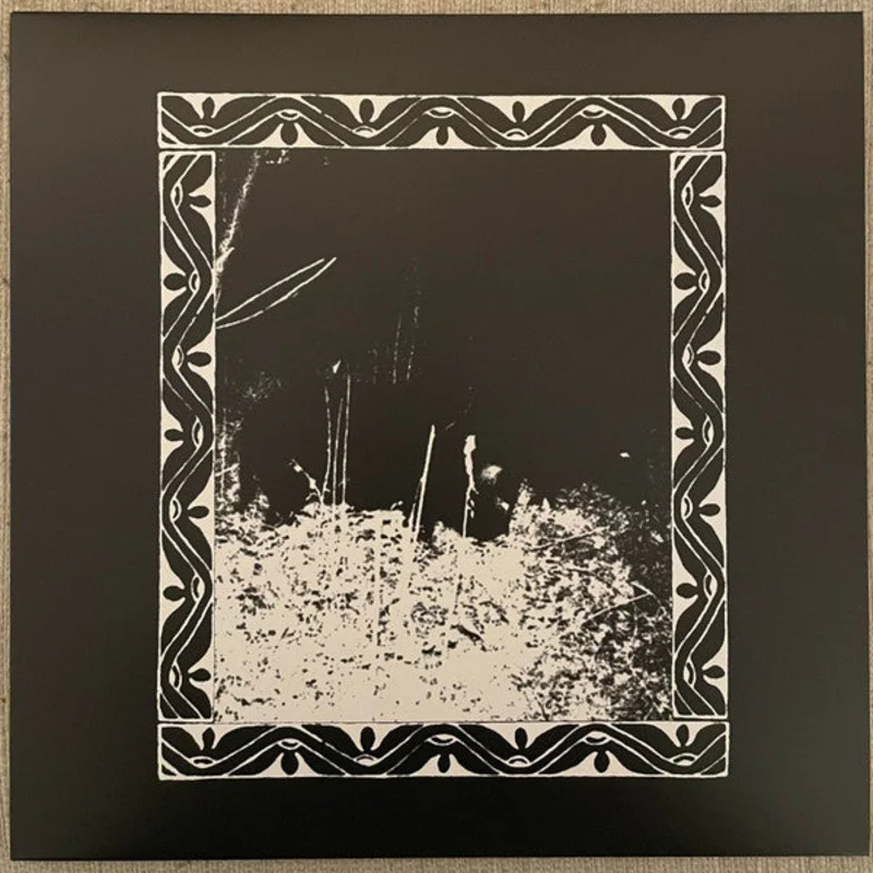 Niteris / : Split 12"