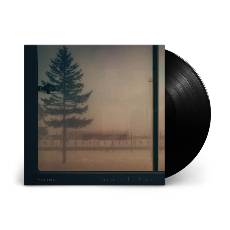 Non  la fine : Vinyl LP