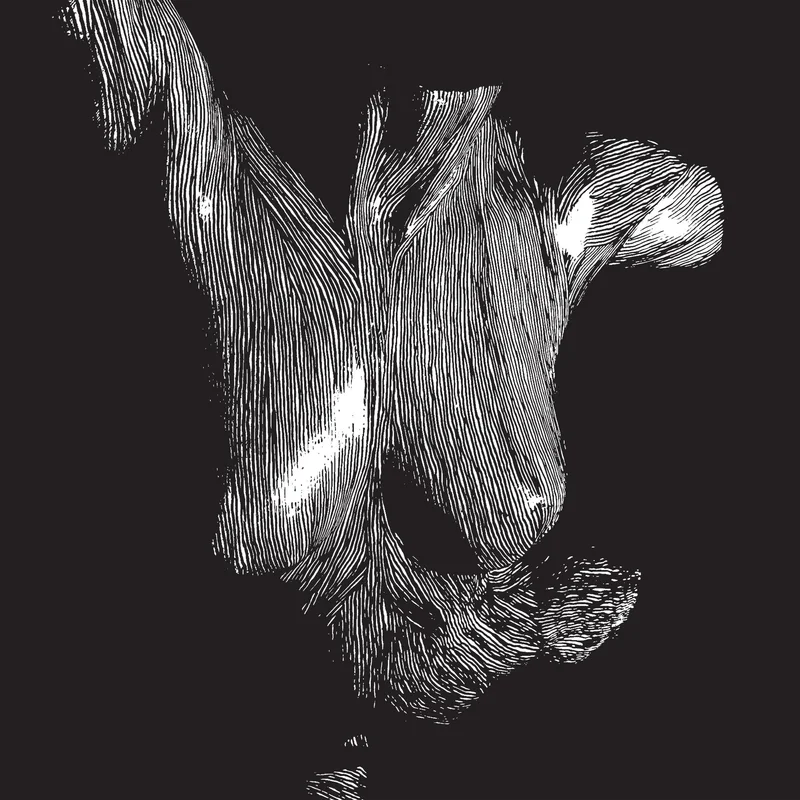 OCEANSIZE 'SELF PRESERVED WHILE THE BODIES FLOAT UP' 3LP