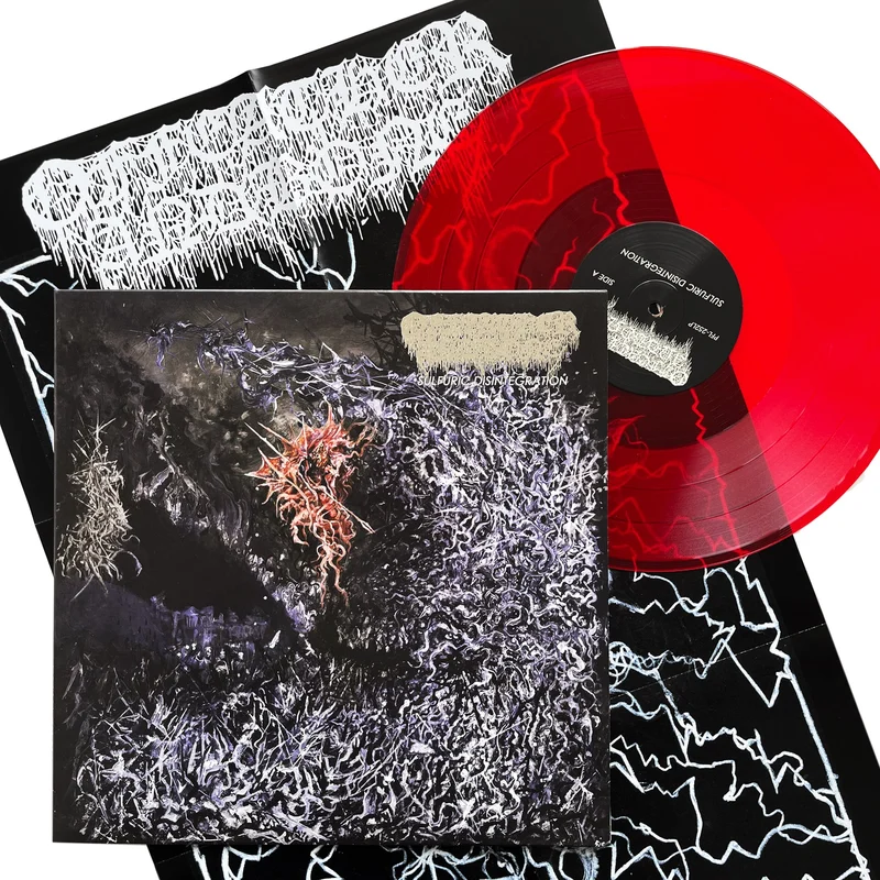 Of Feather and Bone: Sulphuric Disintegration 12"