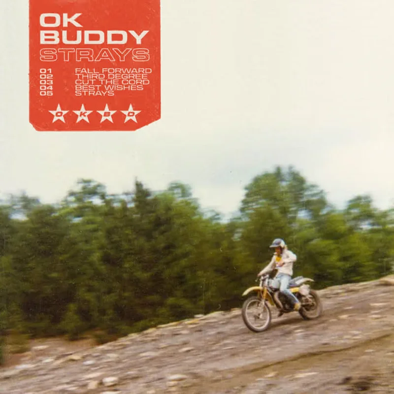 Ok Buddy: Strays 12"