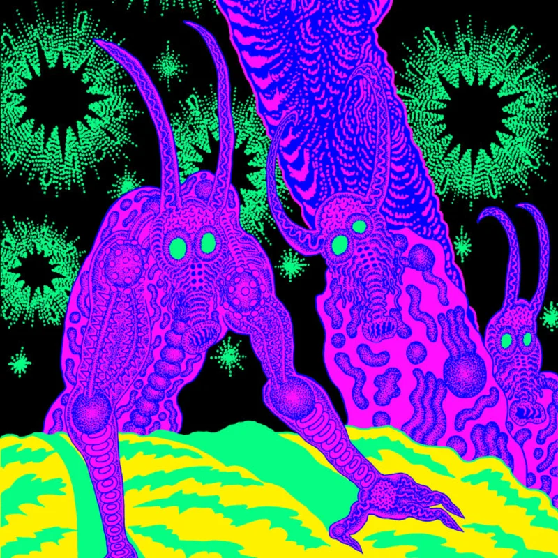 Osees: Abomination Revealed At Last 12"