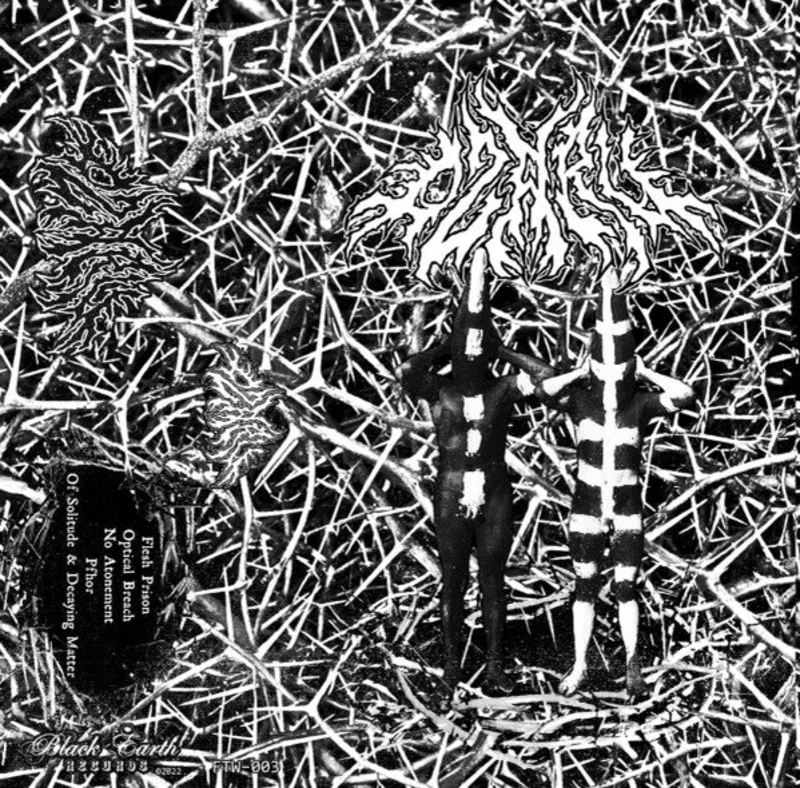Ozaru: S/T cassette