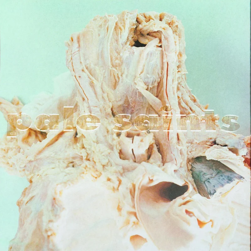 Pale Saints: In Ribbons 12"