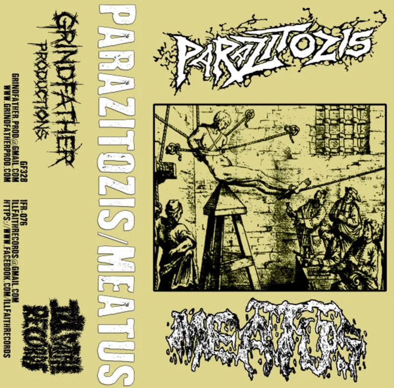 Parazitzis / Meatus: Split cassette