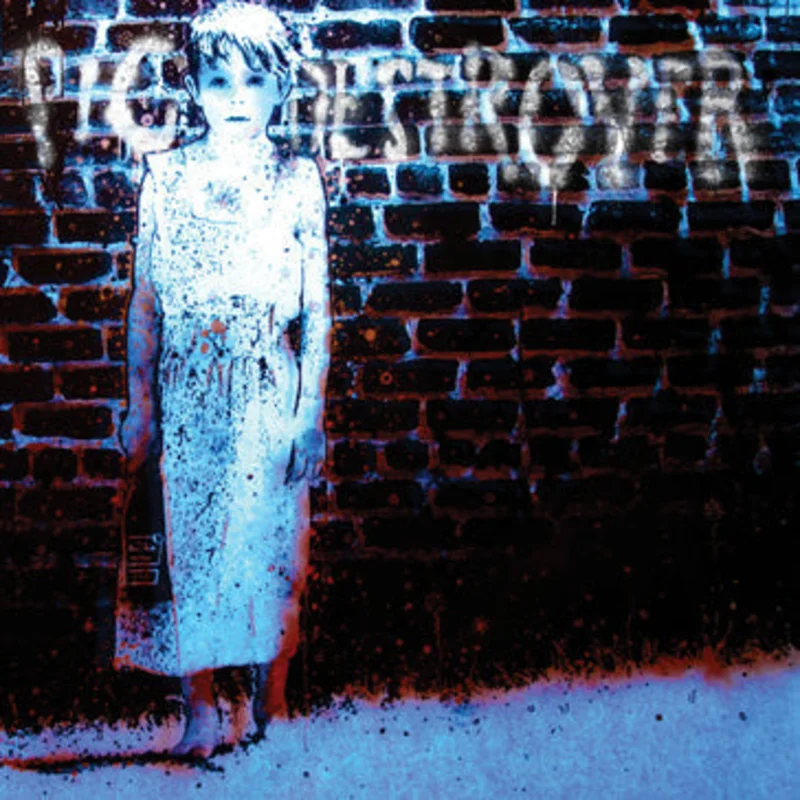 PIG DESTROYER 'BOOK BURNER'  LP