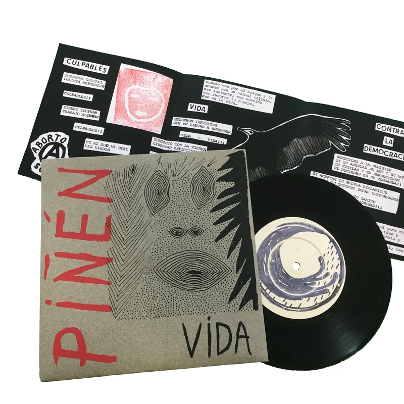 Pin: Vida 7"