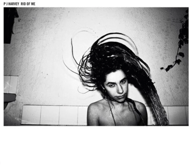 PJ HARVEY - RID OF ME - VINYL LP