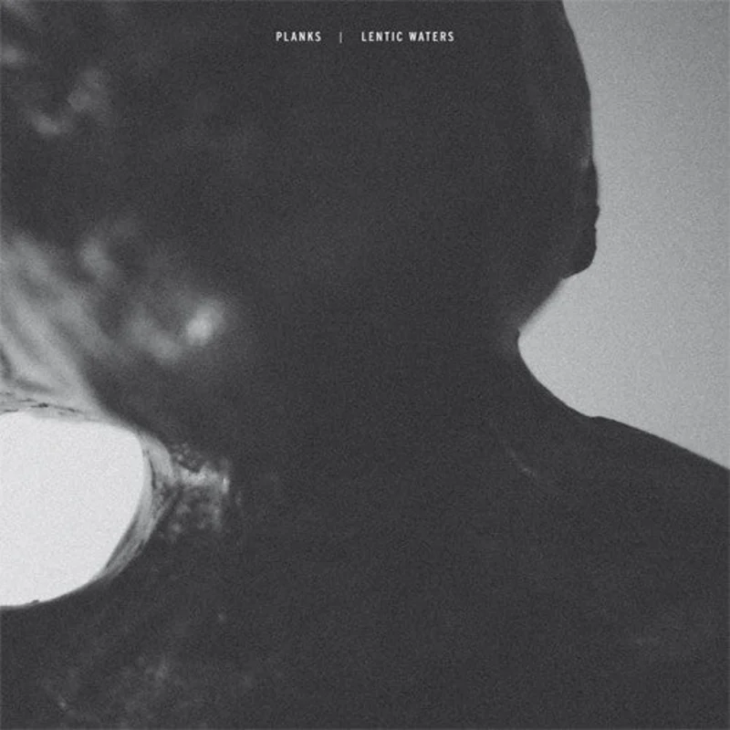 Planks / Lentic Waters: Split 12"