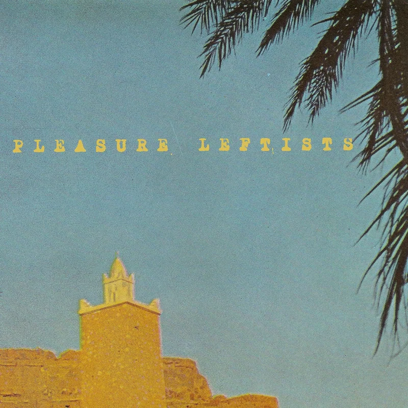 Pleasure Leftists: The Woods Of Heaven 12"