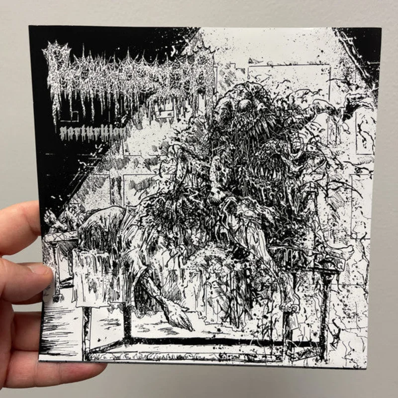 Ptomatopsiaa: Parturition 7" flexi