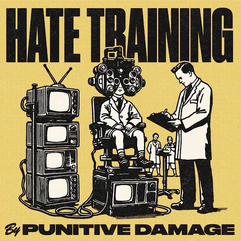 Punitive Damage: Hate Training 12"