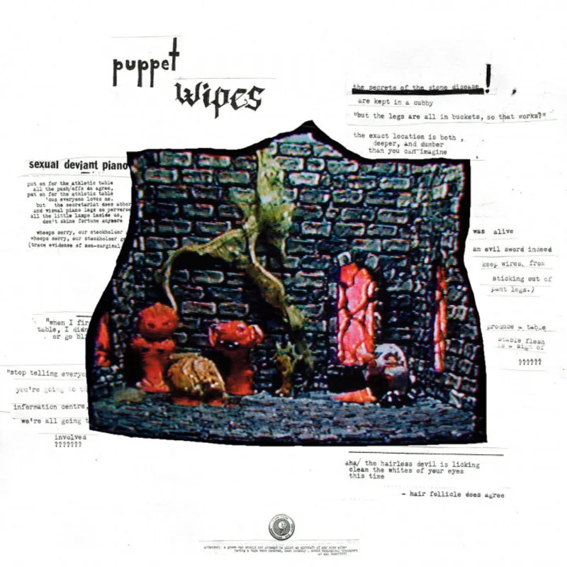 Puppet Wipes: The Stones Are Watching & They Can Be A Handful 12"