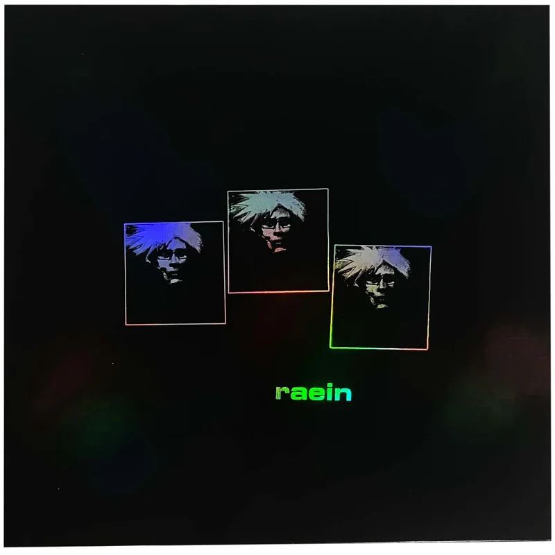 Raein: Il N'y A Pas De Orchestre 12"