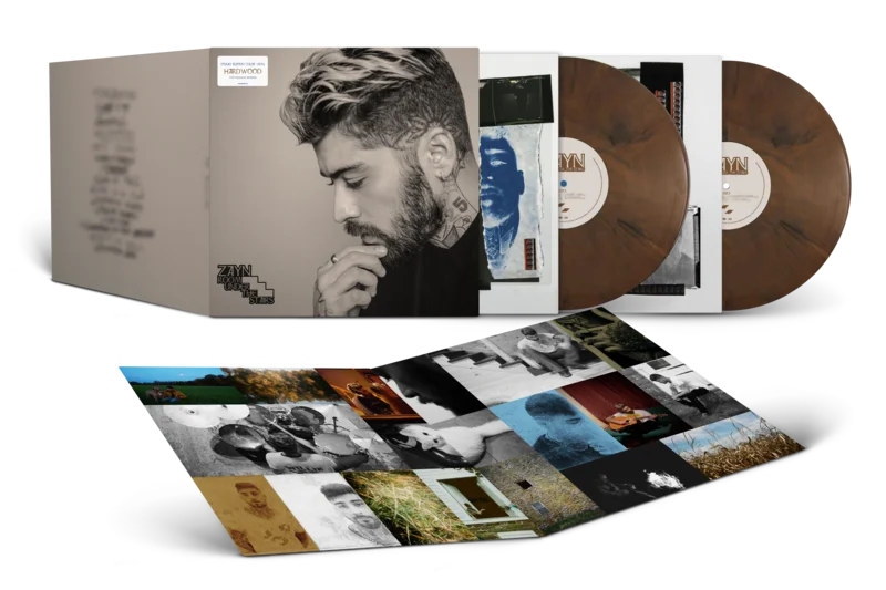 Room Under The Stairs D2C Exclusive Vinyl