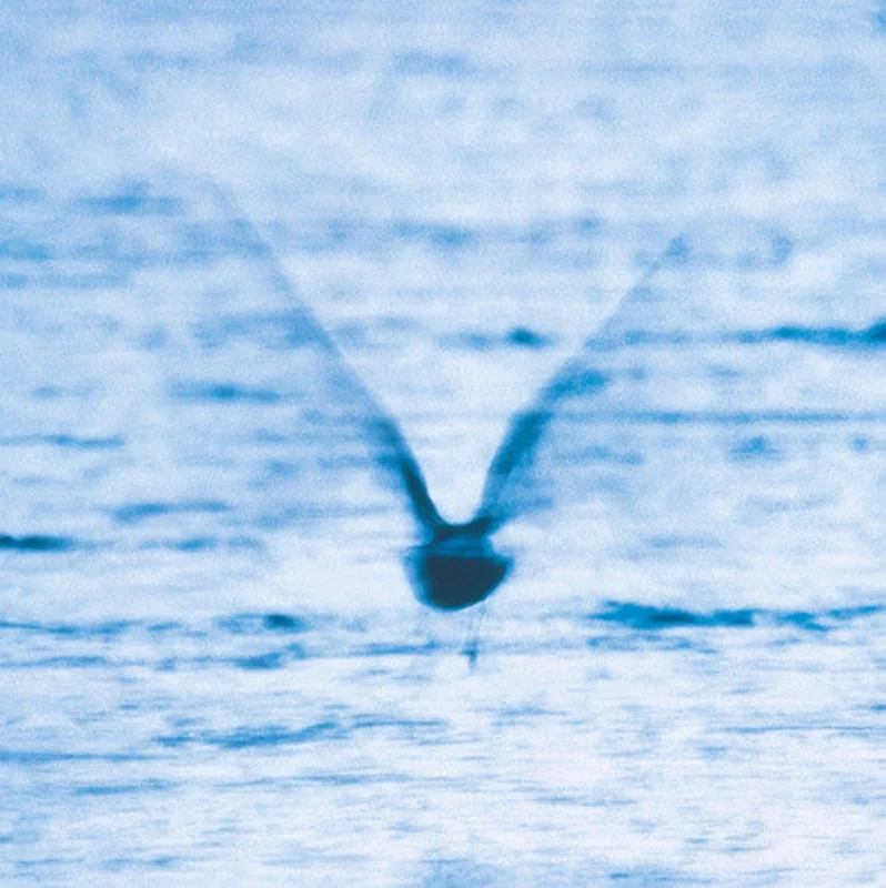 Ryo Fukui - Mellow Dream [LP]