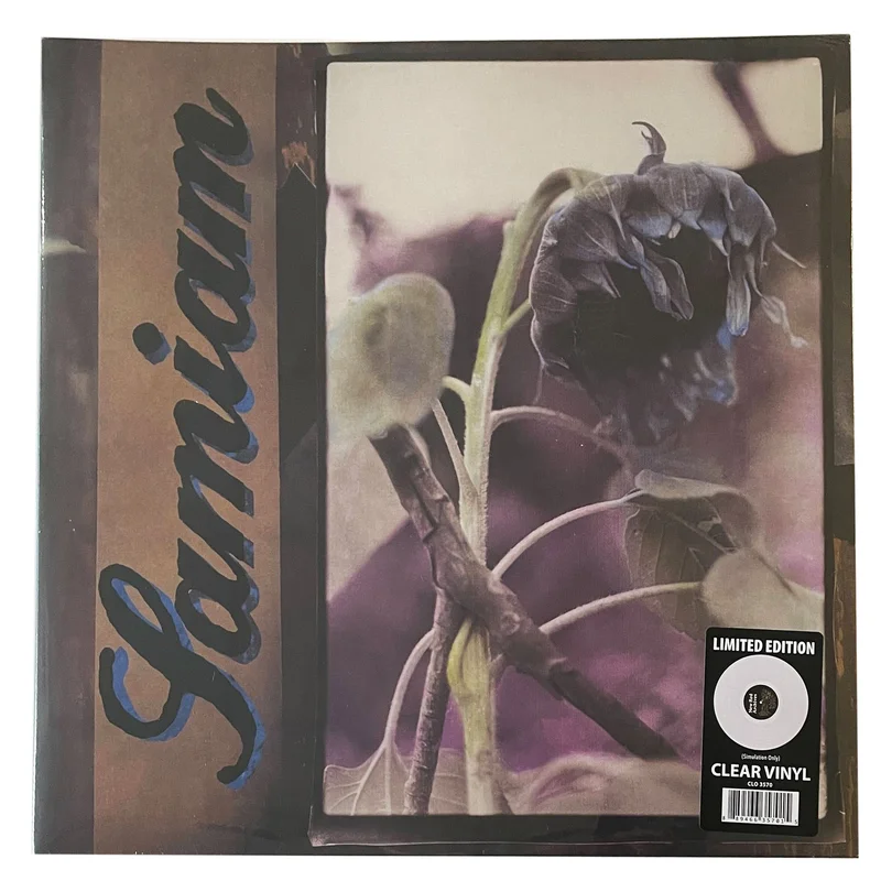 Samiam: S/T 12"