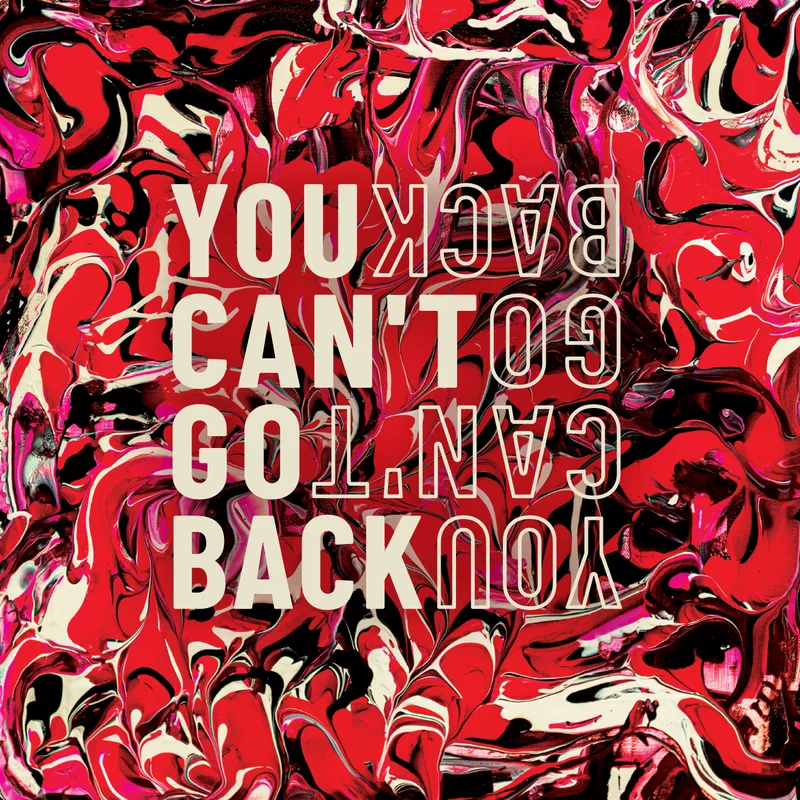 SARIN 'YOU CAN'T GO BACK' CD
