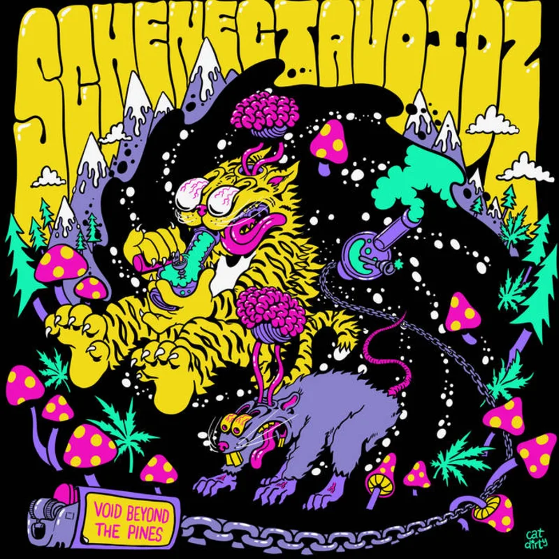 Schenectavoidz: Void Beyond the Pines 12"