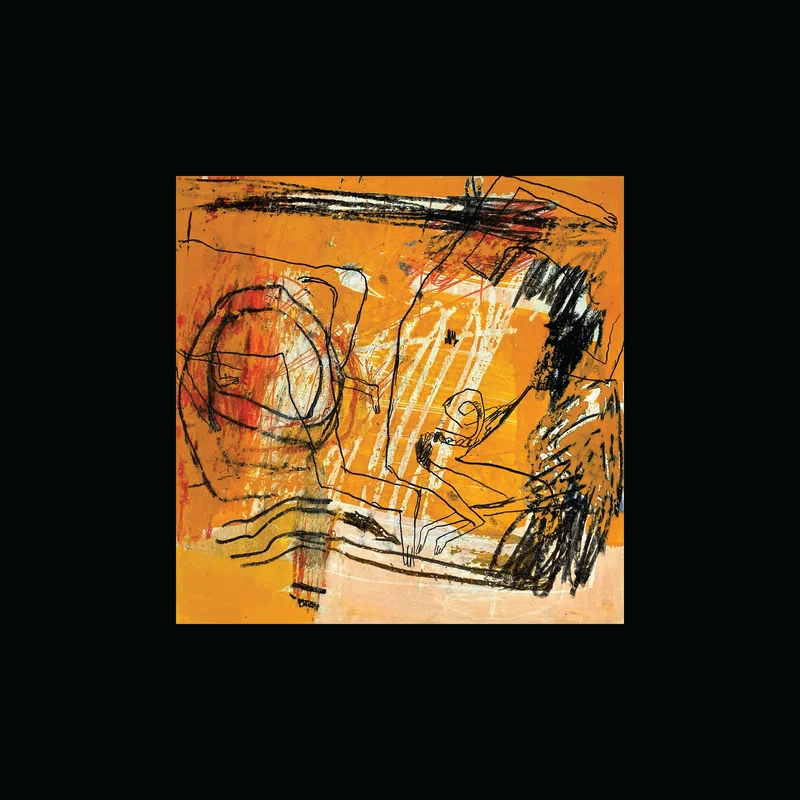 Scratch Acid: Discography Box Set 12" + 7"