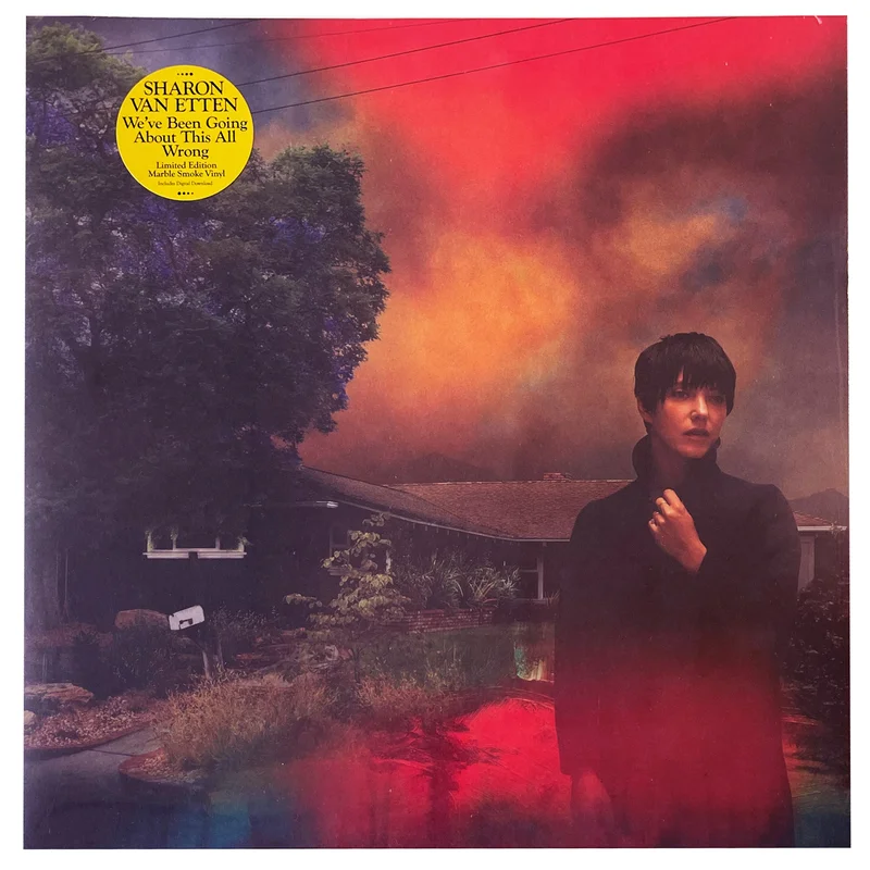 Sharon Van Etten: We've Been Going About This All Wrong 12"