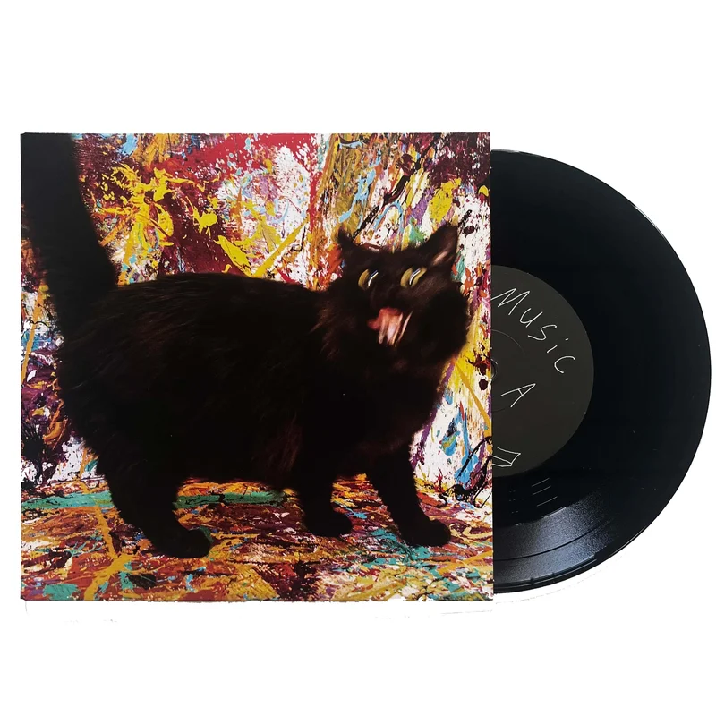 Skull Cult: Can You See What I Mean? 7"
