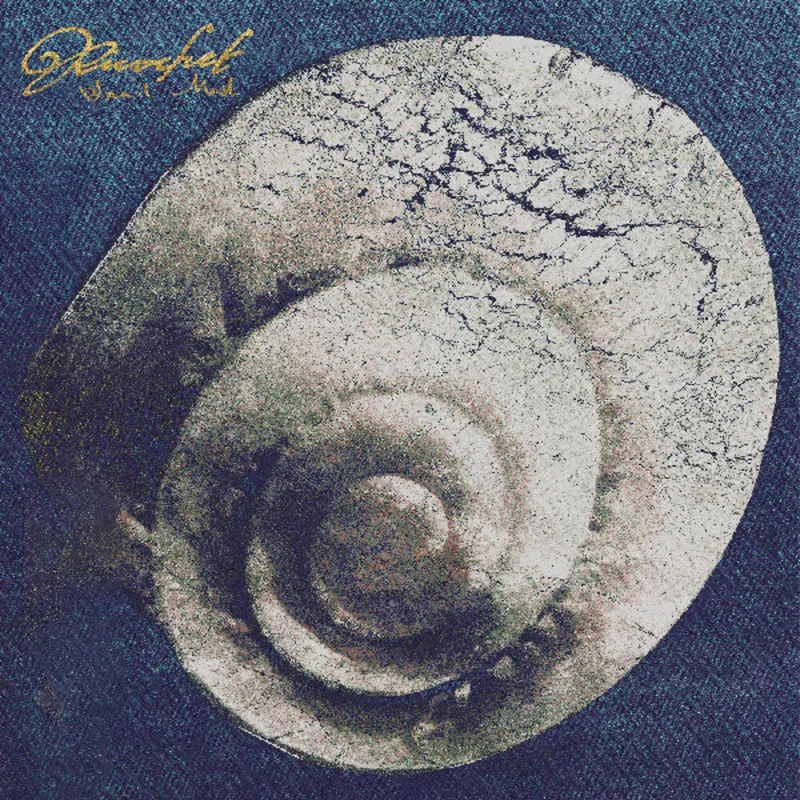 Snail Mail: Ricochet 12" (red vinyl)