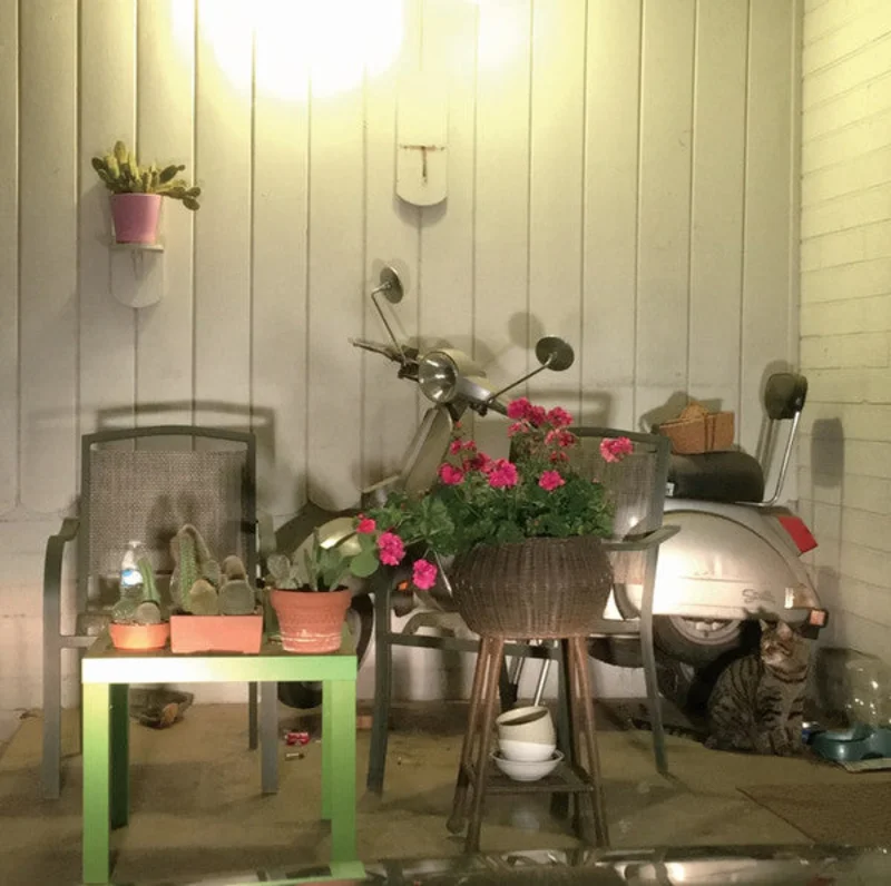 Soft Shoulder: Repeat #4 aka Desert Plants and Scooter in Carport 12"