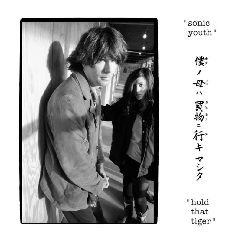 Sonic Youth: Hold That Tiger 12"