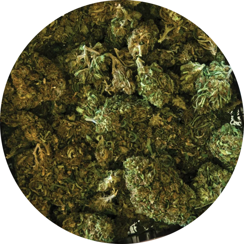 SPIN TO THE LEFT LIMITED EDITION SLIPMAT  ONLY 100 AVAILABLE