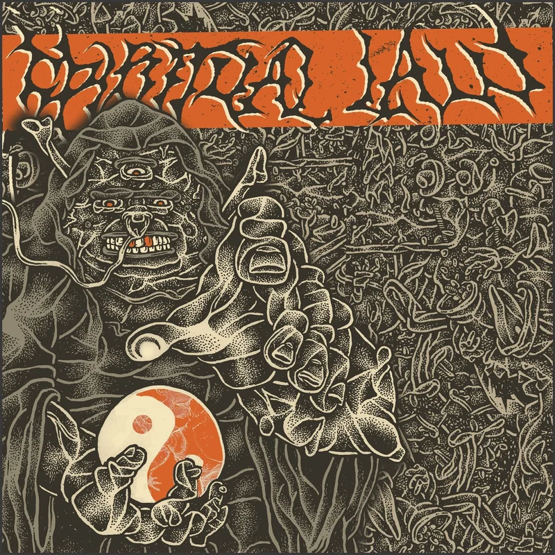 Spiritual Law: S/T 12"