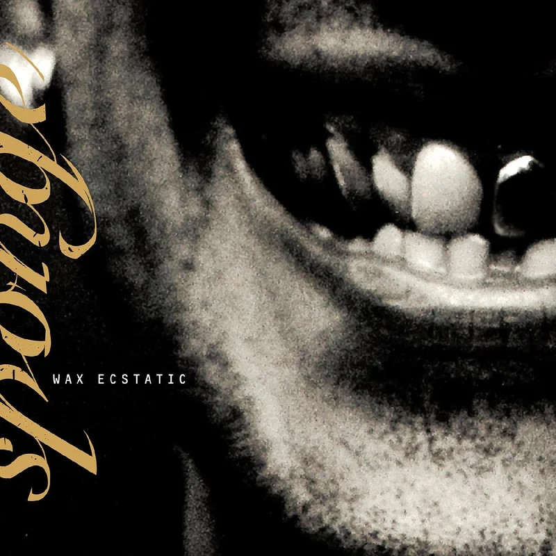 SPONGE 'WAX ECSTATIC' LP - GALAXY /BEER/BLACK