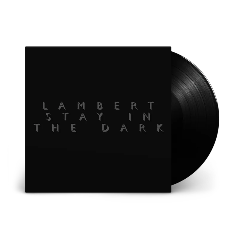 Stay In The Dark: Vinyl LP