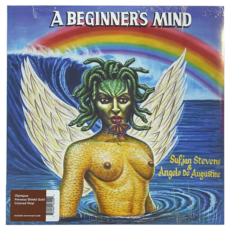 Sufjan Stevens: A Beginner's Mind 12"