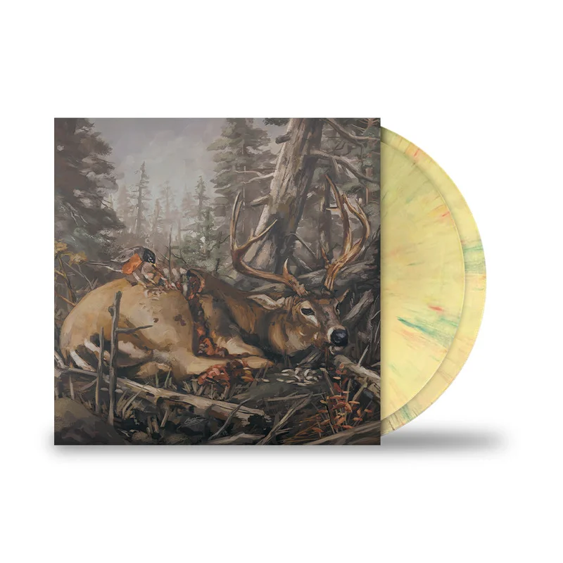 THE ACACIA STRAIN FAILURE WILL FOLLOW  2LP - EXCLUSIVE - LTD. 400 - BANANA SWIRL
