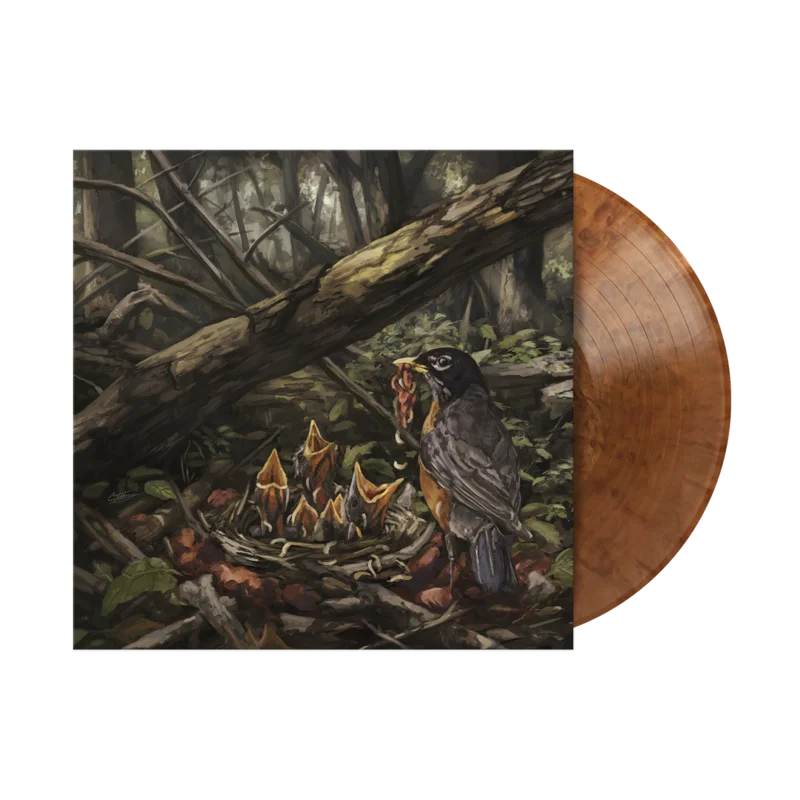 THE ACACIA STRAIN STEP INTO THE LIGHT  LP - EXCLUSIVE - LTD. 400 - PEARLESCENT COPPER SWIRL