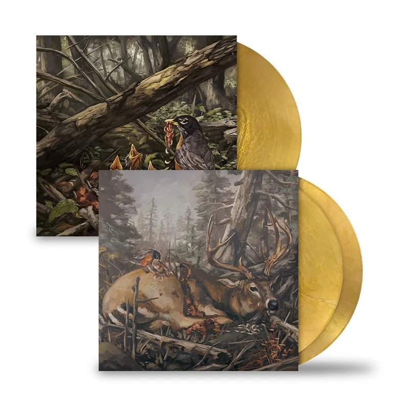THE ACACIA STRAIN STEP INTO THE LIGHT LP & 'FAILURE WILL FOLLOW' 2LP - EXCLUSIVE - LTD. 100 - GOLD METALLIC SWIRL